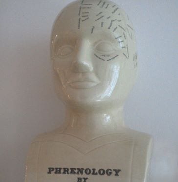 Ceramic Phrenology Head at Henley Circle Online Shop