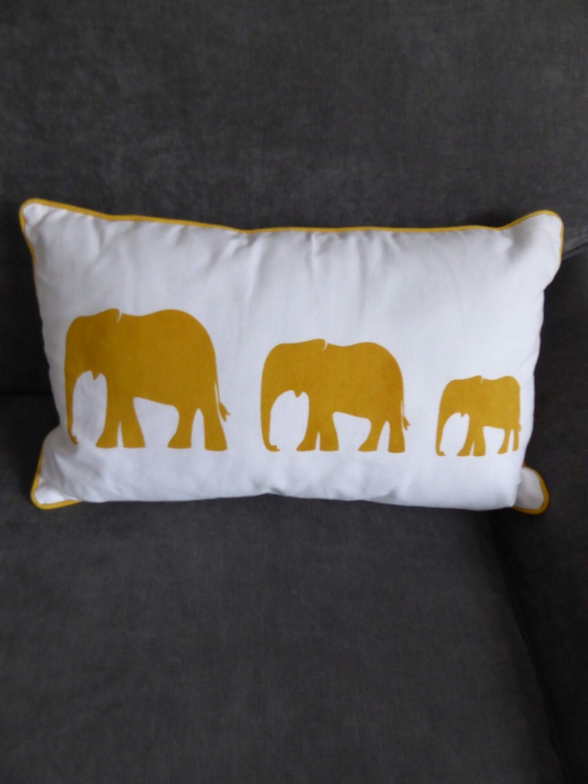 Elephant Aqua Cushion at Henley Circle Online Shop
